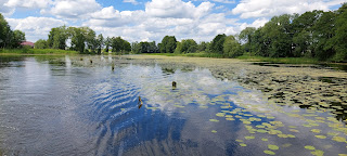 Chmielówka – o matko jaka miejscówka!
