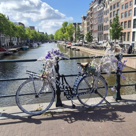 Jak zwiedzić Amsterdam z owczarkiem niemieckim – dzień drugi.