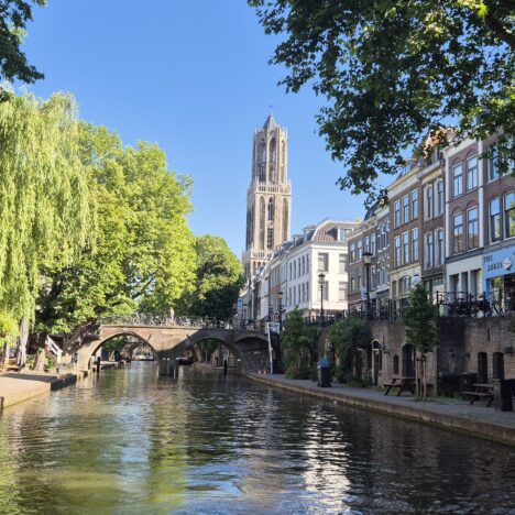 Jak zwiedzić Amsterdam z owczarkiem niemieckim – dzień drugi.