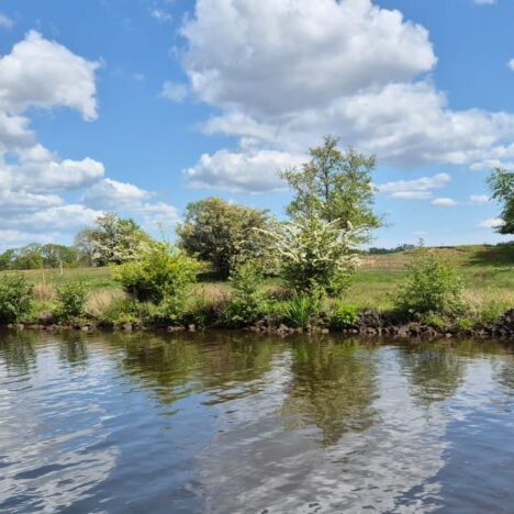 Goedemorgen Holland!