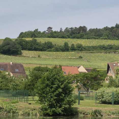 Meaux – miasto sera Brie.