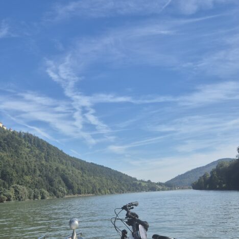 Dunajem na Linzer torte.