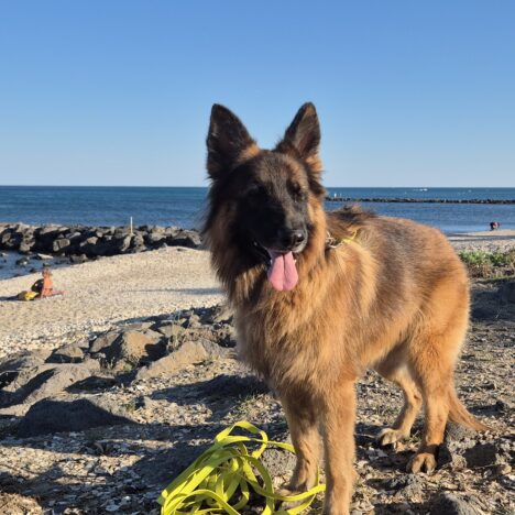 Podsumowanie Kapitana.